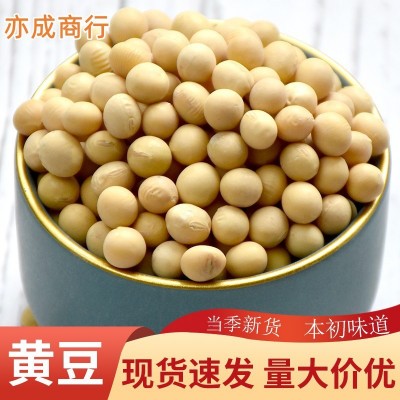 黄豆批发东北中粒黄豆50斤豆腐豆豆制品食品原料1件图2