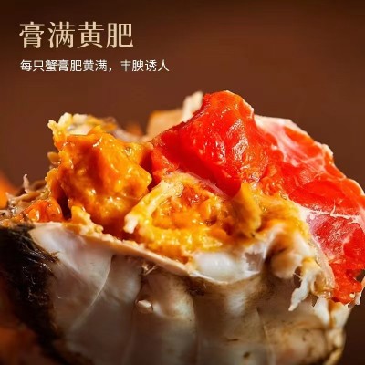原产地大闸蟹中秋蟹礼一手货源批发 全母蟹装 中秋公司礼品伴手1盒图3
