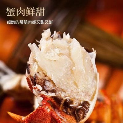 原产地大闸蟹中秋蟹礼一手货源批发 全母蟹装 中秋公司礼品伴手1盒图2