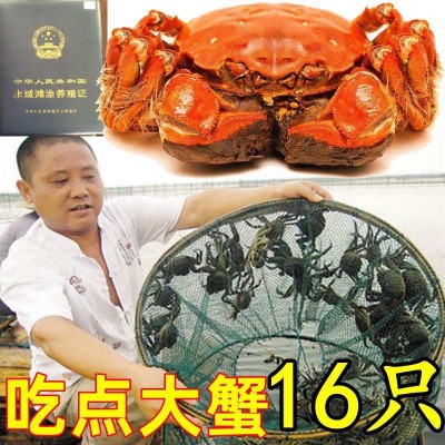 大闸蟹阳澄湖镇鲜活螃蟹礼盒徽商代理一手货源诚邀渠道合作团购1000盒图4