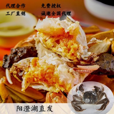 大闸蟹阳澄湖镇厂家供应链蟹券螃蟹湖蟹直招代理诚邀批发代发礼盒1000盒图3