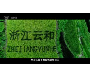 十佳康养目的地·云和梯田景区