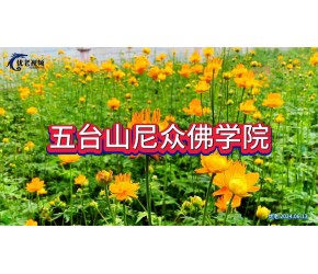 五台山景区