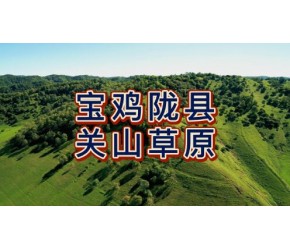 航拍陕西宝鸡关山草原，国家4A级旅游景区，欧式风情的省级风景名胜区