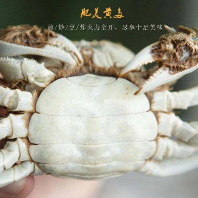 招代理大闸蟹3两公2两母10只装螃蟹大闸蟹螃蟹礼券提货券1盒图2