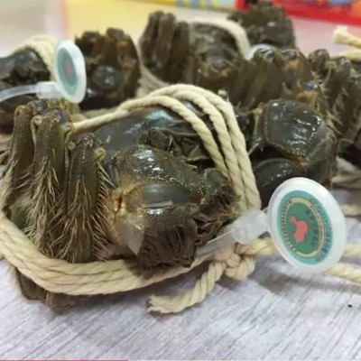 招代理大闸蟹3两公2两母10只装螃蟹大闸蟹螃蟹礼券提货券1盒图3