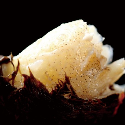 鲜活大闸蟹螃蟹苏州昆山发货中秋节教师节诚邀代理合作团购20盒图4