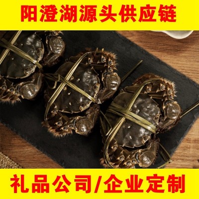 阳澄湖镇大闸蟹螃蟹中秋礼品公司企业团购活蟹代发产地直供可合作10000个