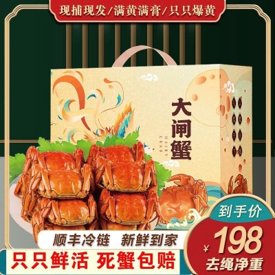 鲜活全母大闸蟹螃蟹苏州昆山发货中秋节教师节诚邀代理合作团购20盒