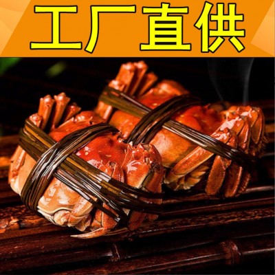 鲜活现货大闸蟹诚邀加盟代理鲜活螃蟹批发活蟹微商代发螃蟹大闸蟹20盒