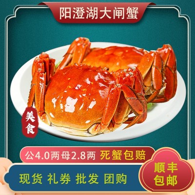 自产自销大闸蟹 大闸蟹鲜活螃蟹公蟹4.0两 母蟹2.8 共12只批发2盒图3