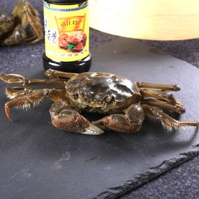 鲜活大闸蟹公蟹3.8-3.5两 母蟹2.8-2.5两4对包邮大闸蟹 中秋礼品2盒图3
