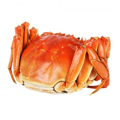 鲜活大闸蟹公蟹3.8-3.5两 母蟹2.8-2.5两4对包邮大闸蟹 中秋礼品2盒图5