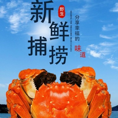 苏州产地供应阳澄湖镇鲜活大闸蟹礼品卡公母螃蟹提货券中秋礼盒装2盒图4