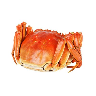 湖东蟹牌大闸蟹中秋企 团购佳礼母蟹2.8-3.1两螃蟹中秋节礼物8只