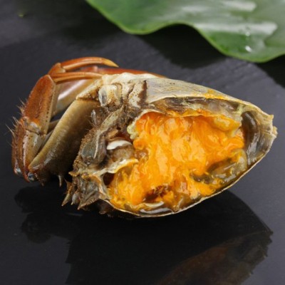 大闸蟹顺丰包邮 厂家批发湖东蟹大闸蟹 公蟹3.6-3.3两 量大从优10个图4