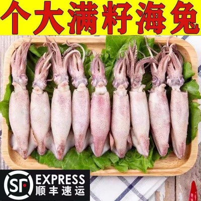 【满籽海兔】野生海兔带大米满籽海兔熟冻籽乌笔管鱼火锅食材2斤