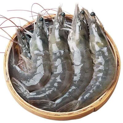 大虾国产对虾基围虾明虾冰冻青虾鲜活白虾海虾冷链运输2斤图5