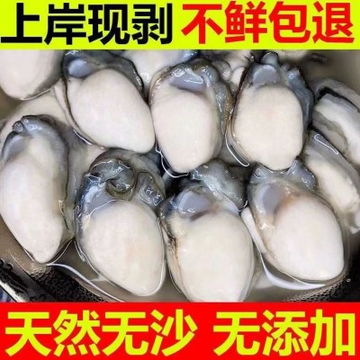【现剥现发】超大生蚝肉海鲜水产即食去壳牡蛎肉海蛎子肉贝类包邮5盒图2