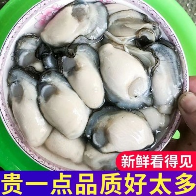 【现剥现发】超大生蚝肉海鲜水产即食去壳牡蛎肉海蛎子肉贝类包邮5盒图3