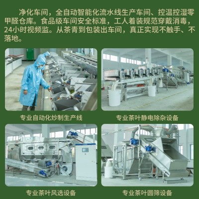 毛尖茶叶一芽一叶新茶明前信阳工艺绿茶嫩芽浓香春茶毛尖散装批发1斤图2