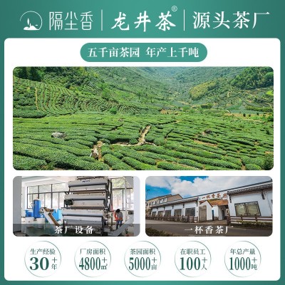 隔尘香高山龙井茶2025新茶碎片绿碎茶袋泡茶奶茶原料散装茶片批发2斤图2