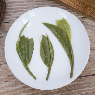 绿茶批发新茶龙井新茶叶产地货源浙江高山白茶龙井绿茶 茶叶批发1斤图3