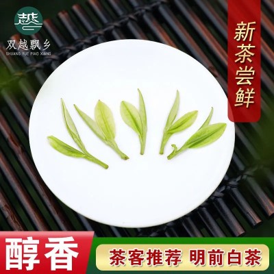 茶叶绿茶黄金芽2025新茶安吉厂家散装批发现货明前高山凤型白茶1斤图2