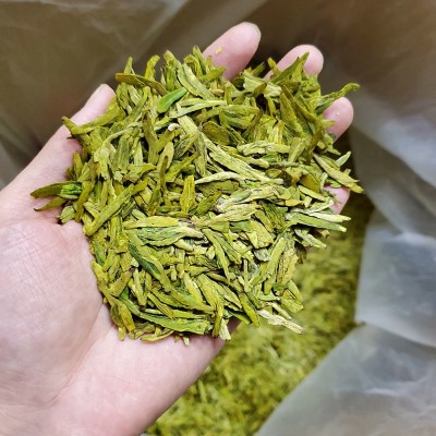 2025新茶上市明前龙井43号黄版豆香杭州钱塘产区高山绿茶茶叶批发1斤图4