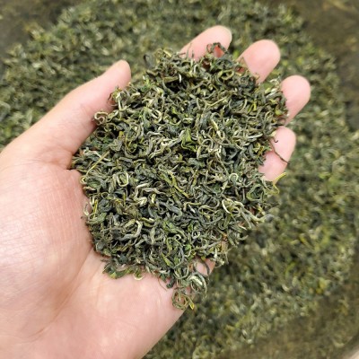 新茶碧螺春茶叶批发厂家货源直销炒青香茶500g绿茶叶试样合集1斤图5