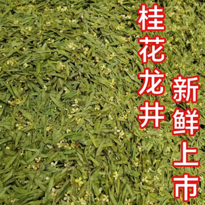 桂花龙井 2024新茶 绿茶高山炒青茶叶花窨茶散茶 杭州厂家批发1斤图2