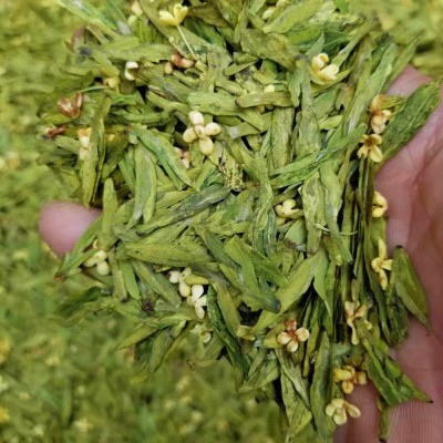 桂花龙井 2024新茶 绿茶高山炒青茶叶花窨茶散茶 杭州厂家批发1斤图3