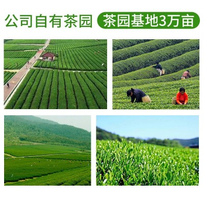 随易蜜桃乌龙茶奶茶店专用桃桃乌龙桃香乌龙白桃乌龙茶茶叶1袋图4