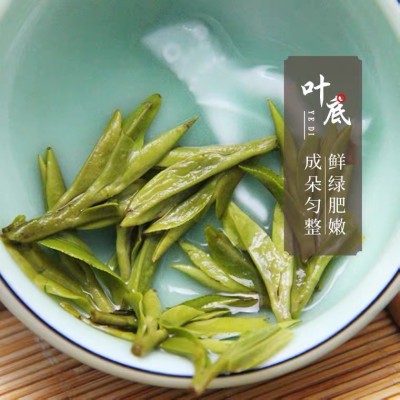 龙井茶2025年新茶明前AA浓香型绿茶茶叶送礼豆香早茶家用口粮茶1袋图3