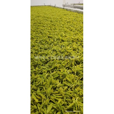 2025年龙井绿茶茶叶新茶 越乡春茶散装明前茶叶批发乌牛早茶叶1斤图2