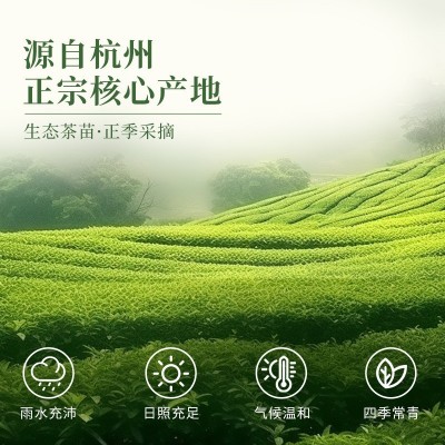 厂家批发甄选赛级品质嫩芽龙井茶礼盒装高档绿茶茶叶明前特级龙井1盒图2