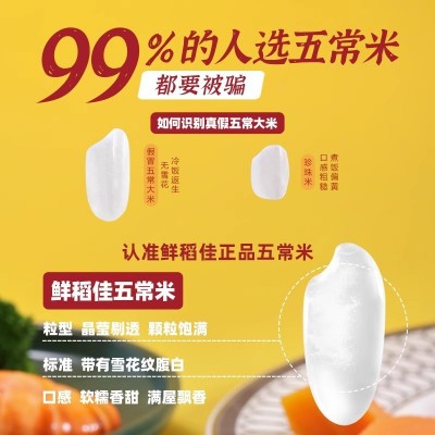 五常大米2024年现磨新米稻花香2号东北大米五常官方旗舰店5KG10KG 1袋图2