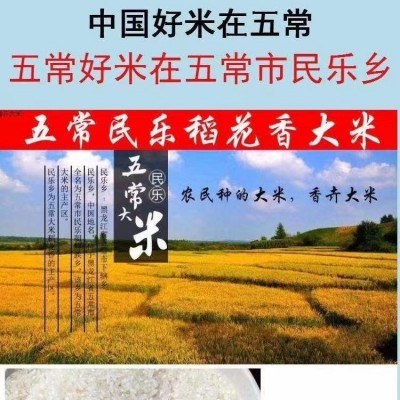 现磨现卖年新米东北黑龙江五常大米十斤包邮 1件图3