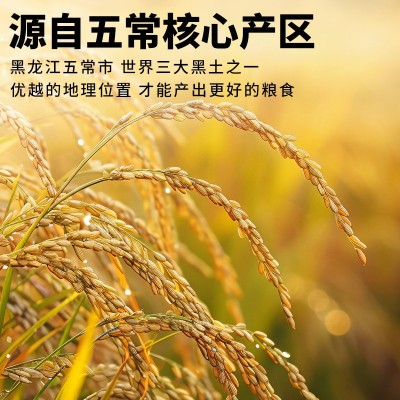 官方溯源农民自产五常大米充氮保鲜正宗原粮稻花香2号新米东北米 1盒图4