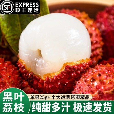 【顺丰包邮】黑叶荔枝新鲜2025荔枝老树热带孕妇水果乌叶荔枝整箱 1斤图3