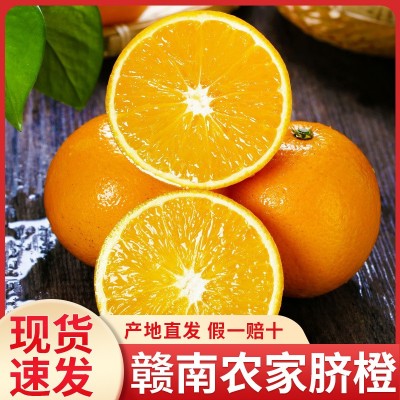 2025年新果正宗江西赣南脐橙当季新鲜夏橙甜橙子孕妇水果赣州直发 1斤图2
