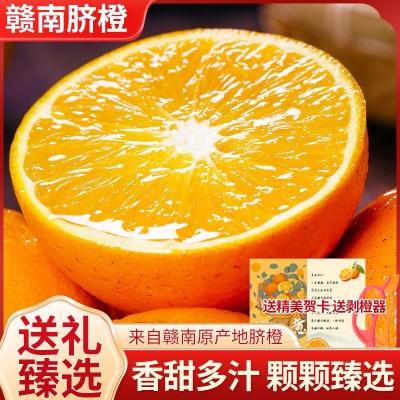 2025年新果正宗江西赣南脐橙当季新鲜夏橙甜橙子孕妇水果赣州直发 1斤图4