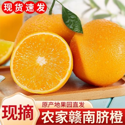2025年新果正宗江西赣南脐橙当季新鲜夏橙甜橙子孕妇水果赣州直发 1斤图3