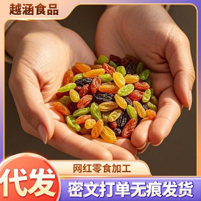 新疆四色葡萄干新货袋装 代发吐鲁番特产果干批发多色多彩葡萄干 1袋