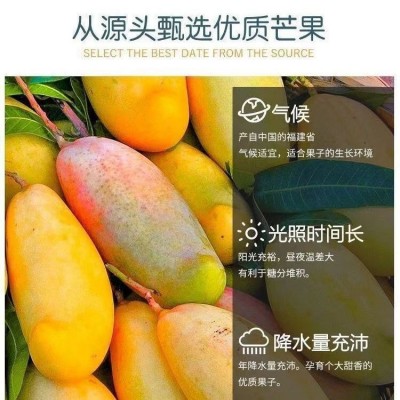 代发网红100g芒果干果干烘焙果脯500g越南泰国风味蜜饯休闲芒果干 2袋图3