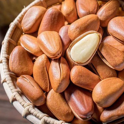 现货批发松子开口大颗粒松子孕妇儿童休闲零食含罐重坚果年货松子 1罐图2