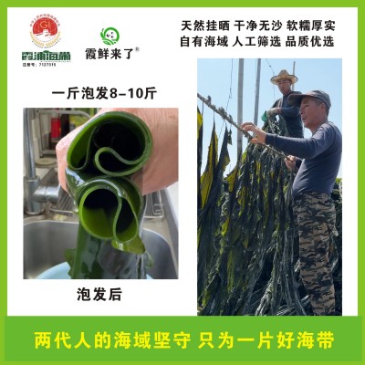 福建霞浦海带日晒干海带卷产地直供无沙干净厚实海带片干货批发 1箱图3