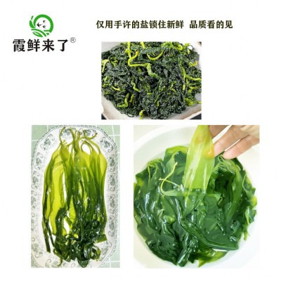 【商用批发】霞浦特产盐渍海带嫩苗10斤新鲜海带芽涮火锅凉拌食材 2箱图3