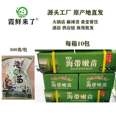 【商用批发】霞浦特产盐渍海带嫩苗10斤新鲜海带芽涮火锅凉拌食材 2箱图4