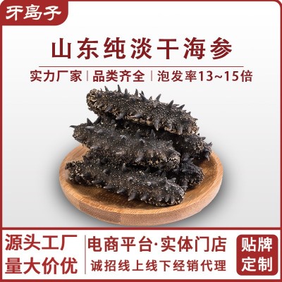 山东正宗纯淡干海参干货批发高品质500g水产品海鲜商用家用海参 1盒